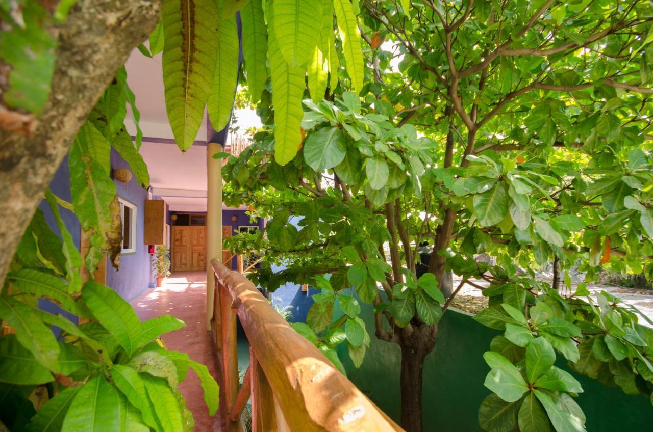 Hotel Casa Almendro Tulum Zewnętrze zdjęcie